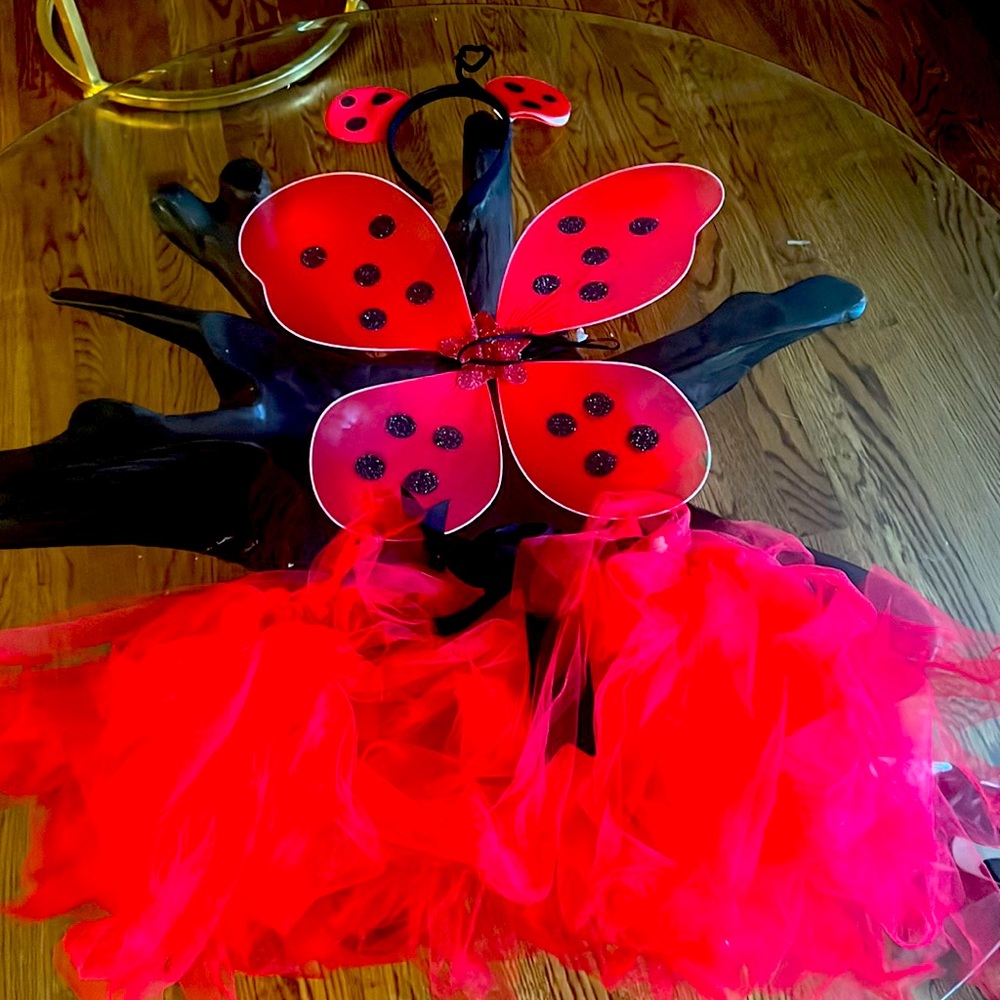 Lady bug custom